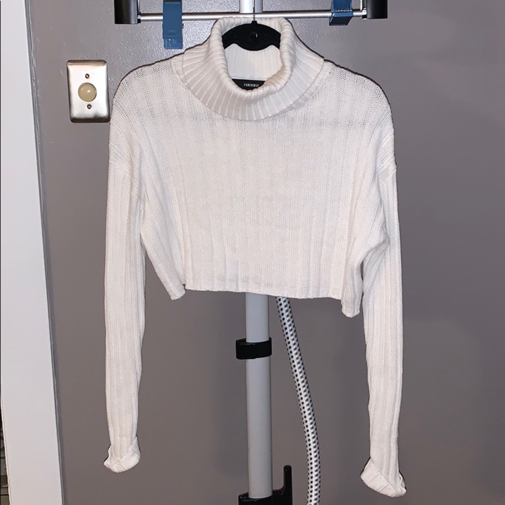 F21 Cropped Turtleneck Sweater